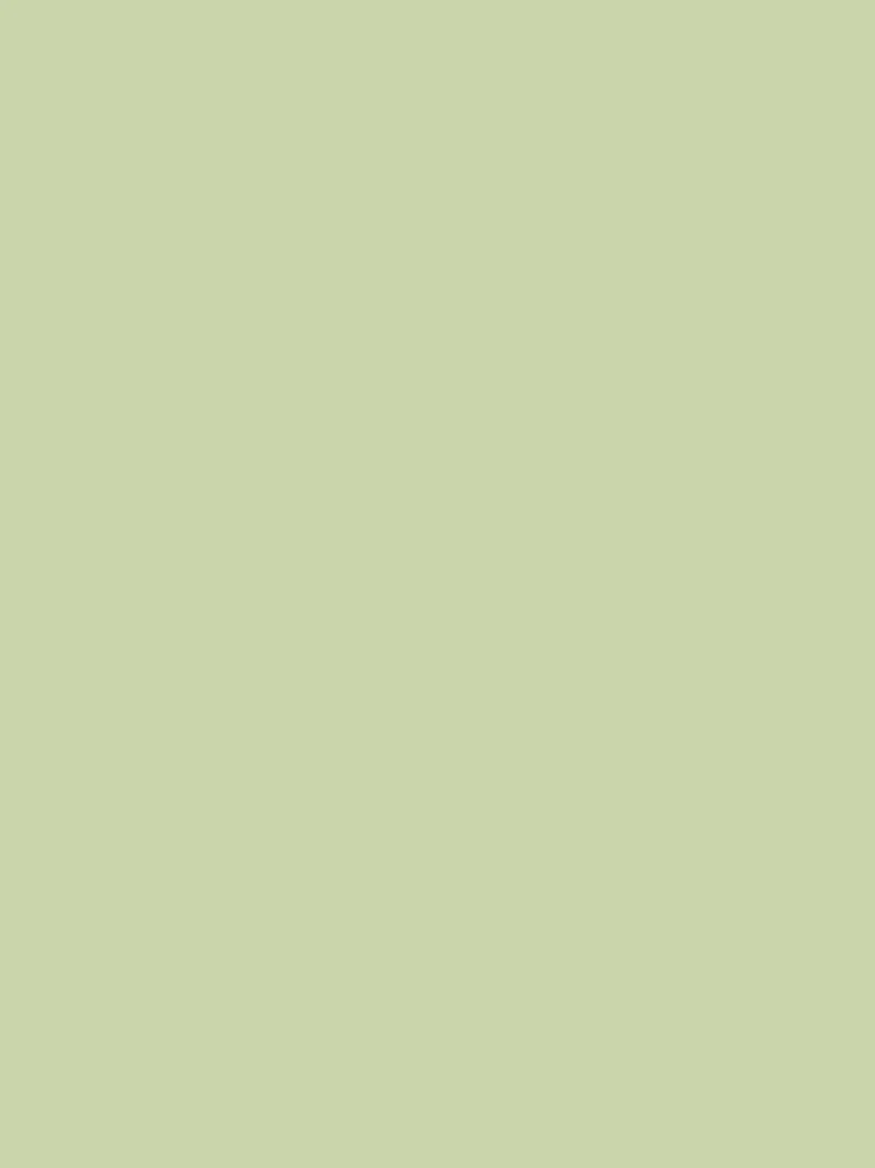 Wand - Farrow & Ball - Cooking Apple Green No. 32