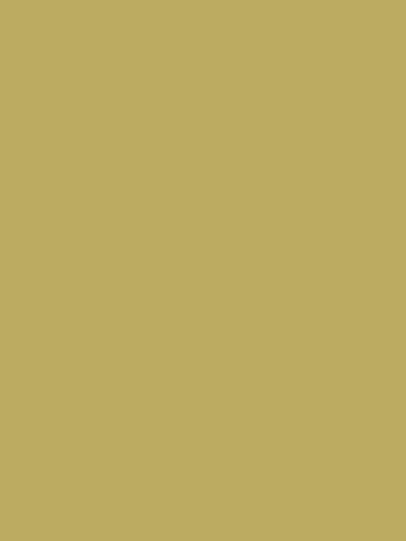 Wand - Farrow & Ball - Churlish Green No. 251