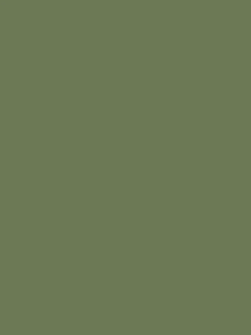 Wand - Farrow & Ball - Calke Green No. 34