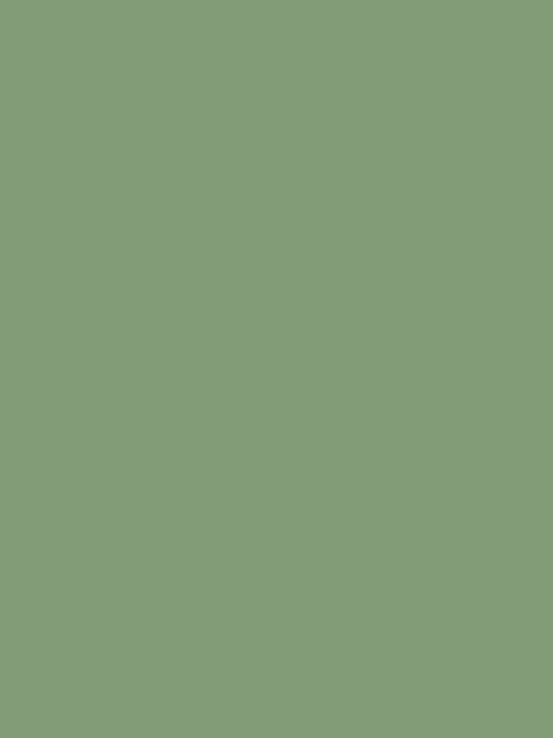 Wand - Farrow & Ball - Breakfast Room Green No. 81