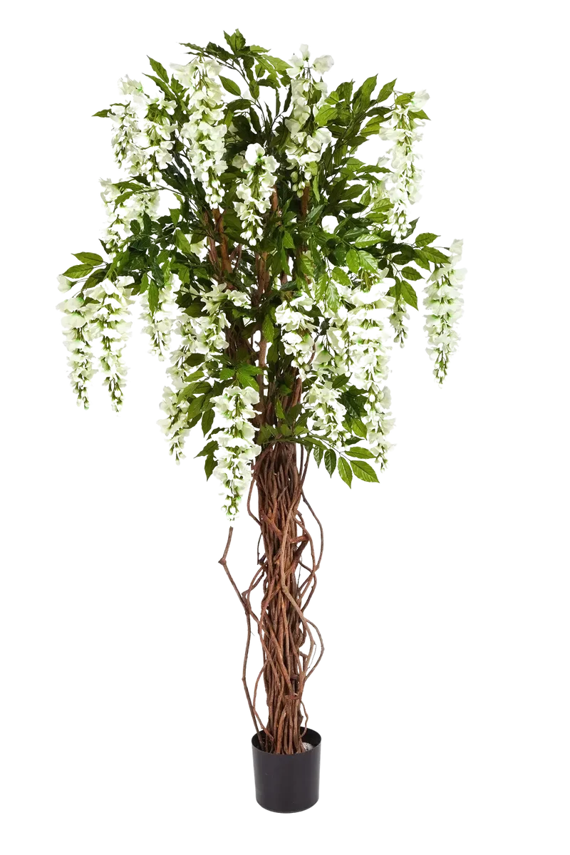 Künstliche Wisteria Liana - Ria | 180 cm
