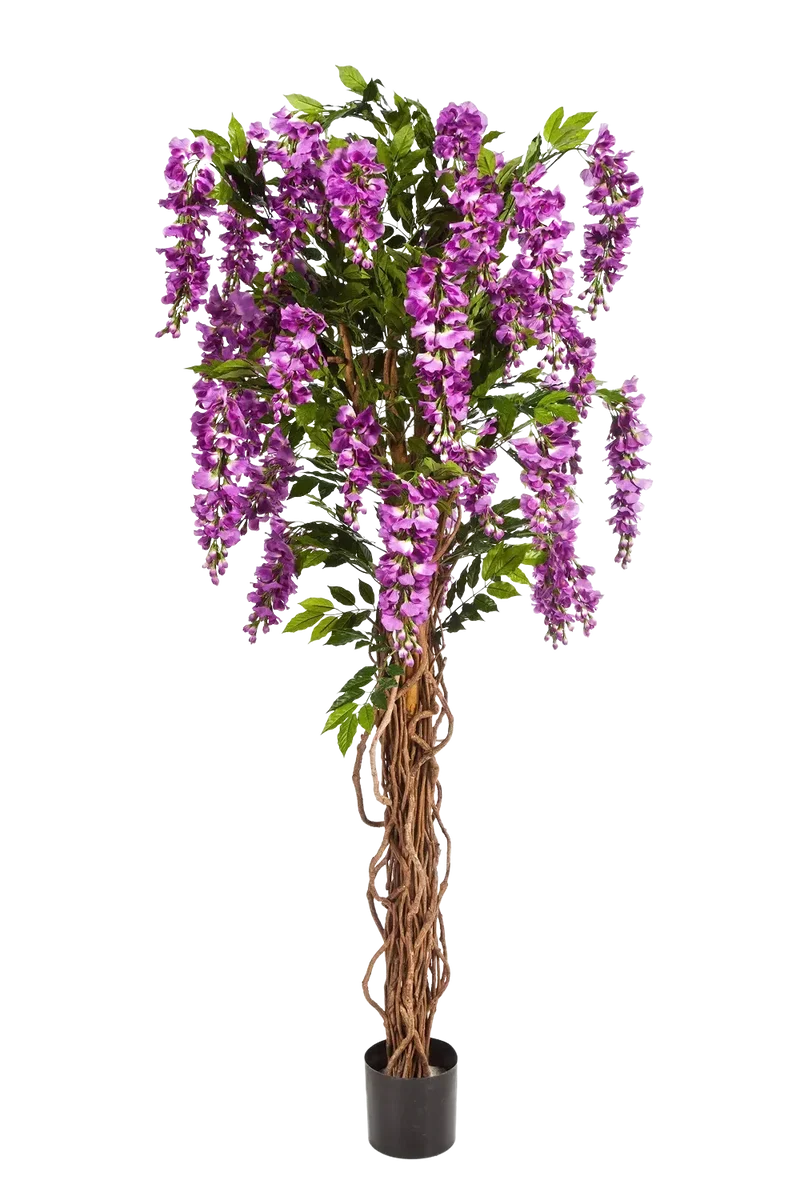 Künstliche Wisteria Liana - Rita | 180 cm