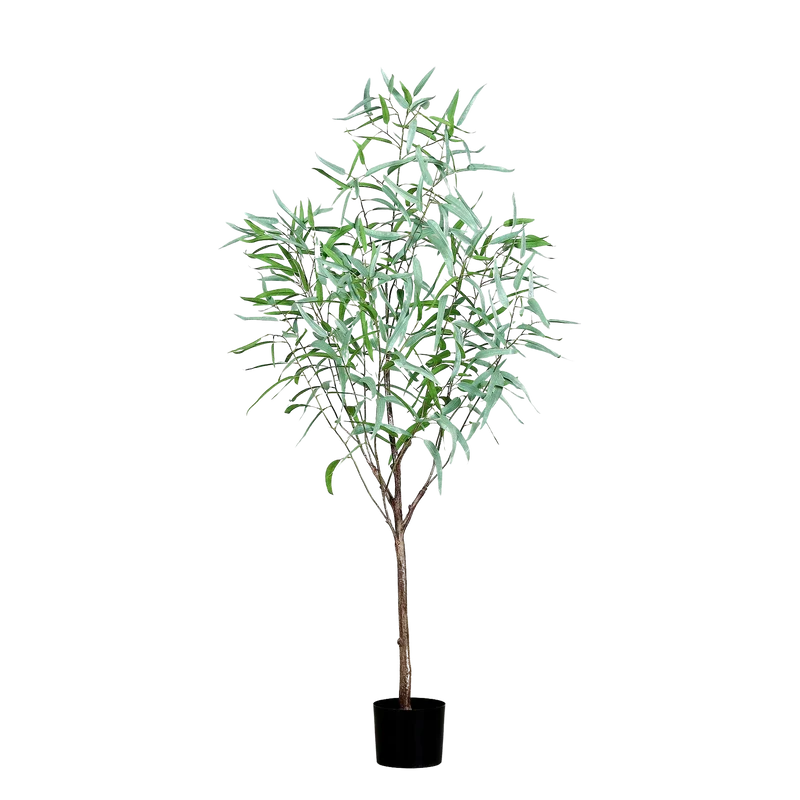 Künstlicher Eukalyptus - Manfred | 165 cm