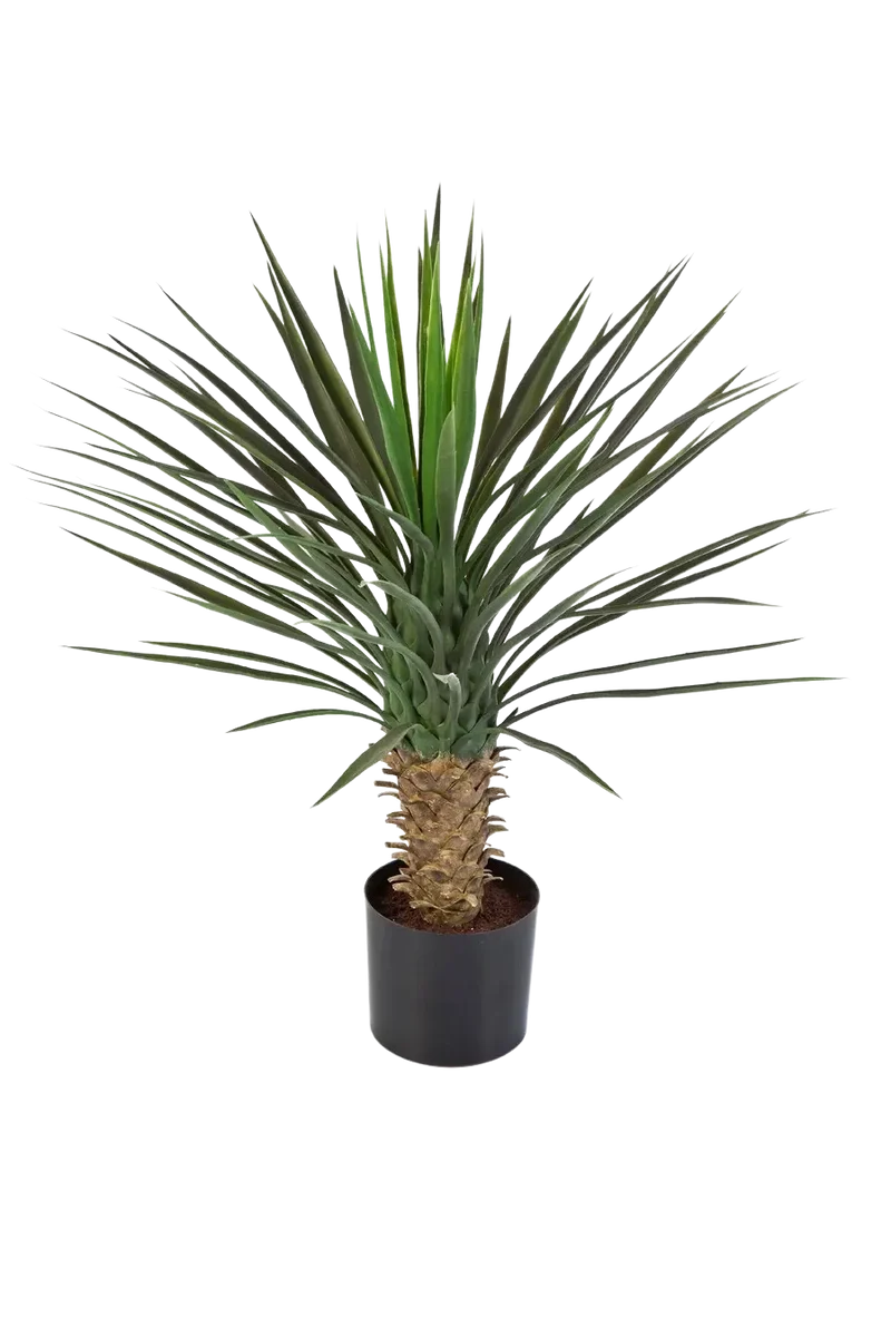Künstliche Yucca Rostrata Palme - Sven | 82 cm