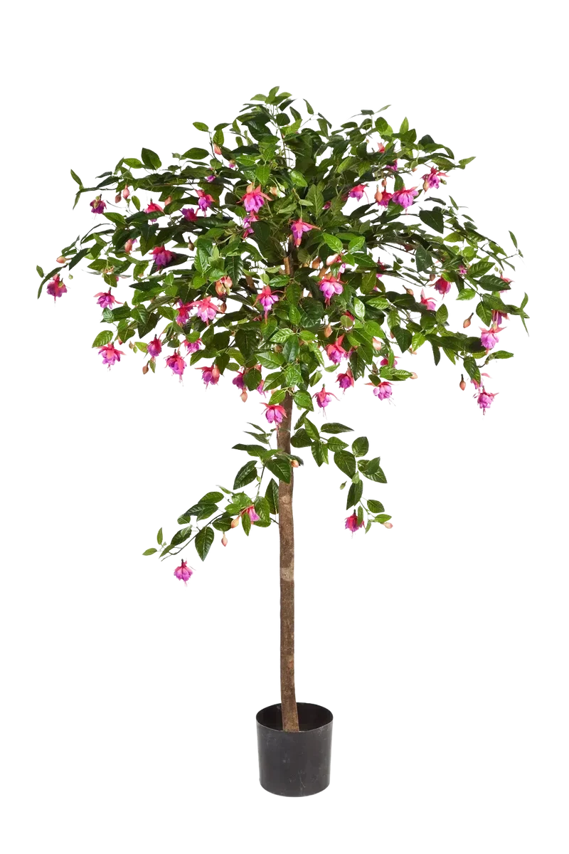 Künstliche Fuchsie - Regina | 140 cm