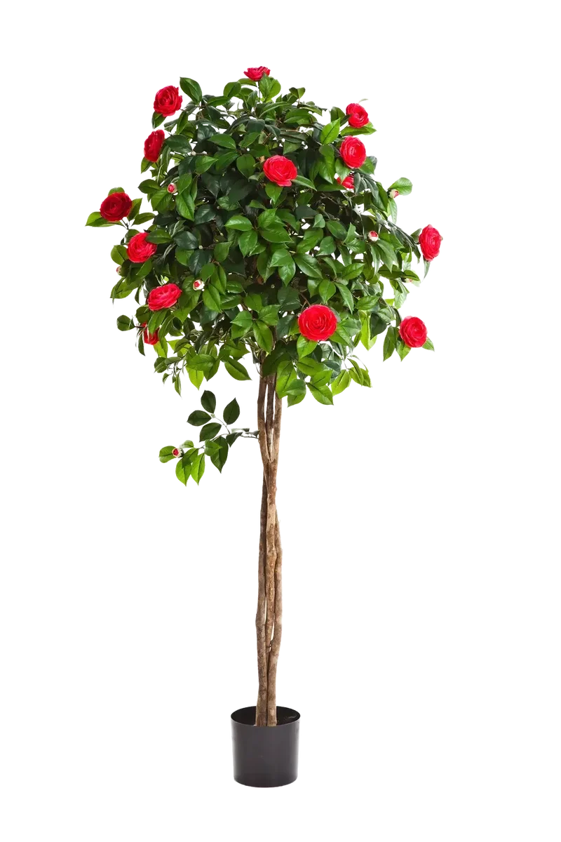 Künstlicher Kamelienbaum - Pelin | 160 cm