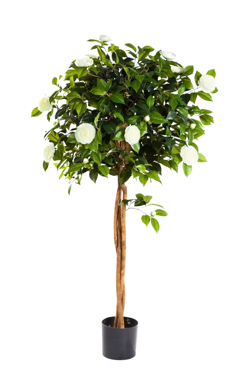 Künstlicher Kamelienbaum - Pina | 160 cm