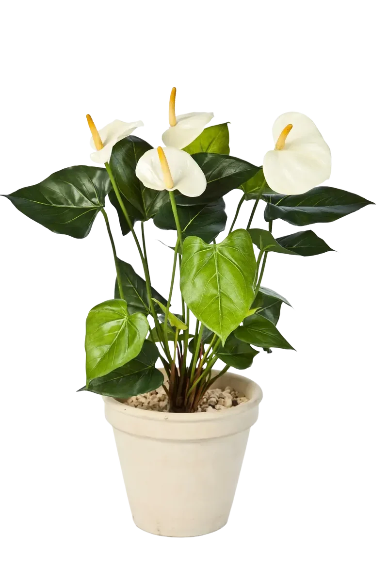 Künstliche Flamingoblume - Steckpflanze - Nora | 56 cm