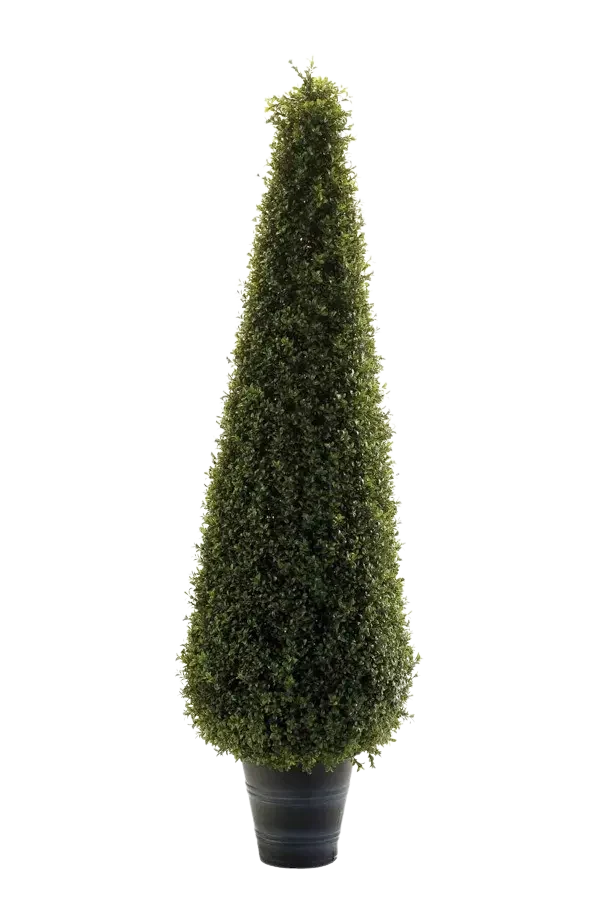 Künstliche Buchsbaumpyramide - Lucy | 135 cm