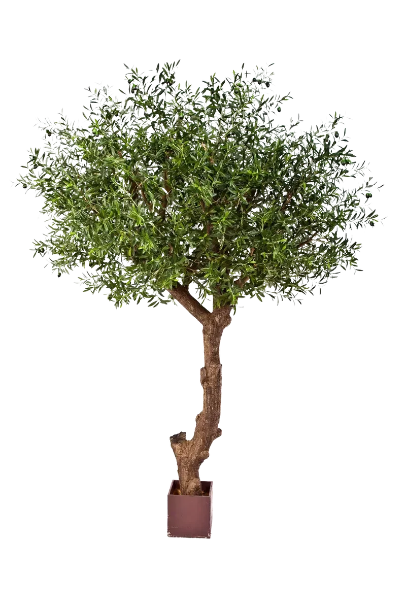 Künstlicher Olivenbaum - Ilias | 270 cm
