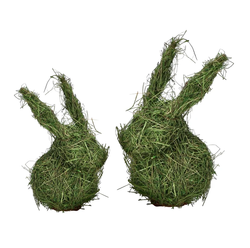 Hase Osterwiese
