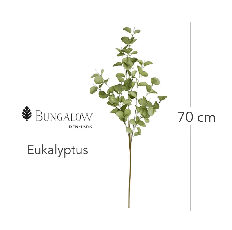 Eukalyptus Zweig 70cm