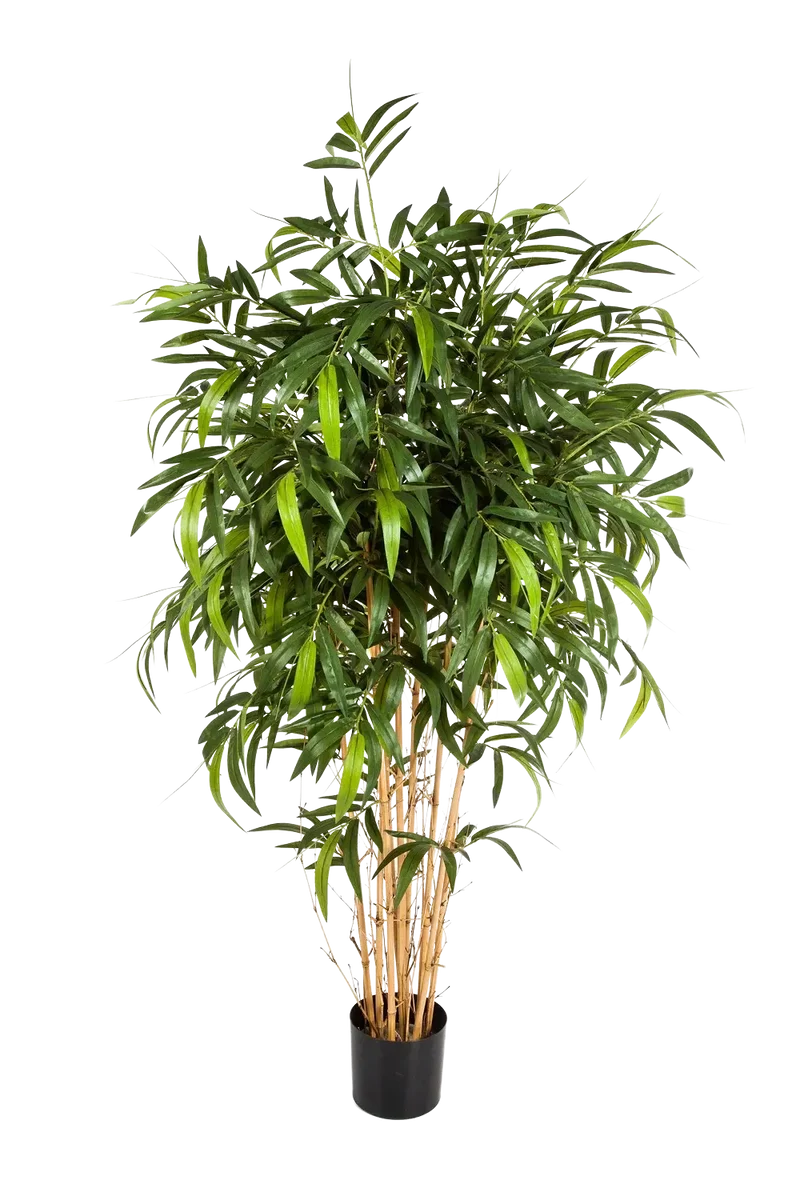 Künstlicher Bambus - Maxim | 300 cm