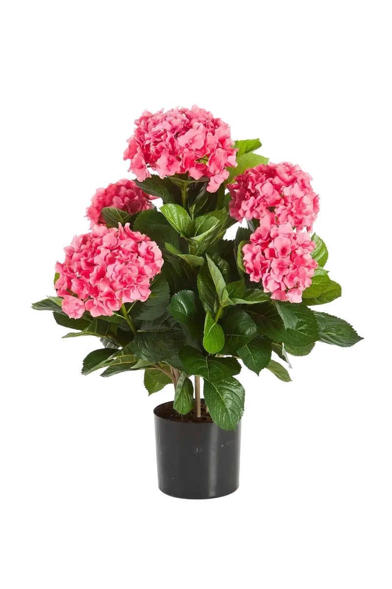 Künstliche Hortensie - Nils | 53 cm