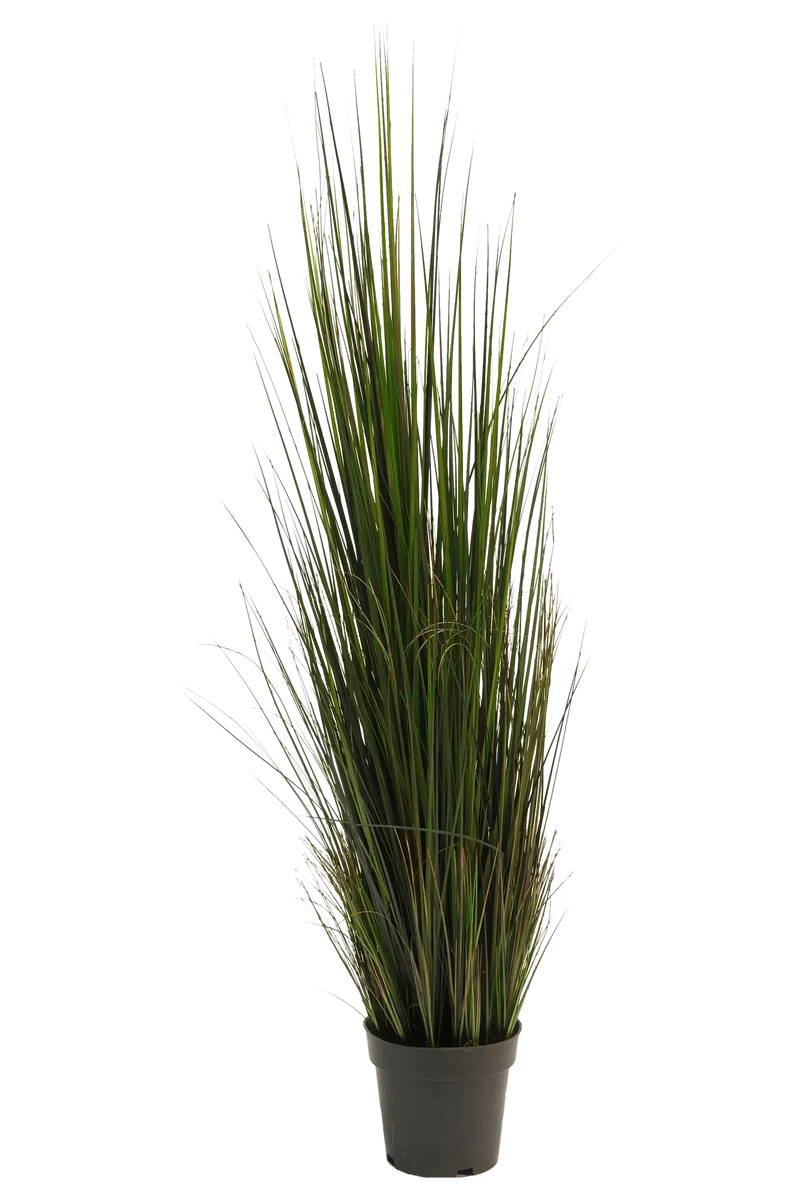 Künstliches Gras - Hanno | 120 cm