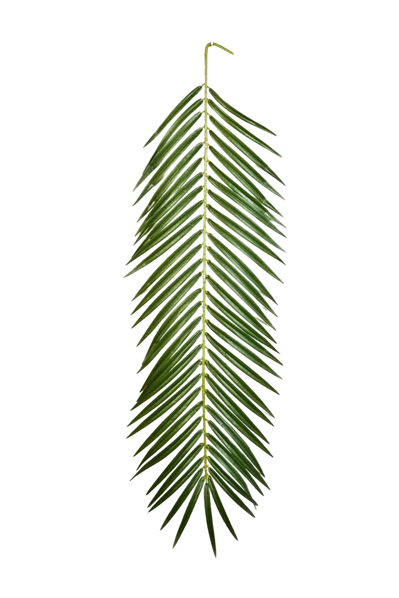 Künstliches Phoenixpalmenblatt - Oliwia | 88 cm