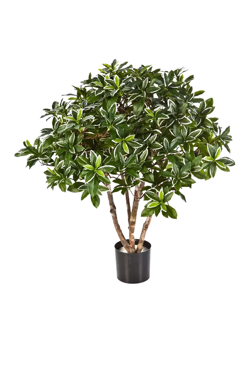 Künstlicher japanischer Spindelstrauch - Wilma | 75 cm
