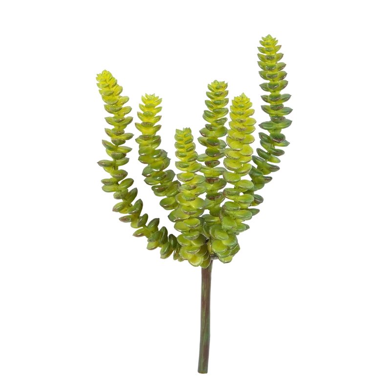 Künstliche Crassula - Hedi | 17 cm
