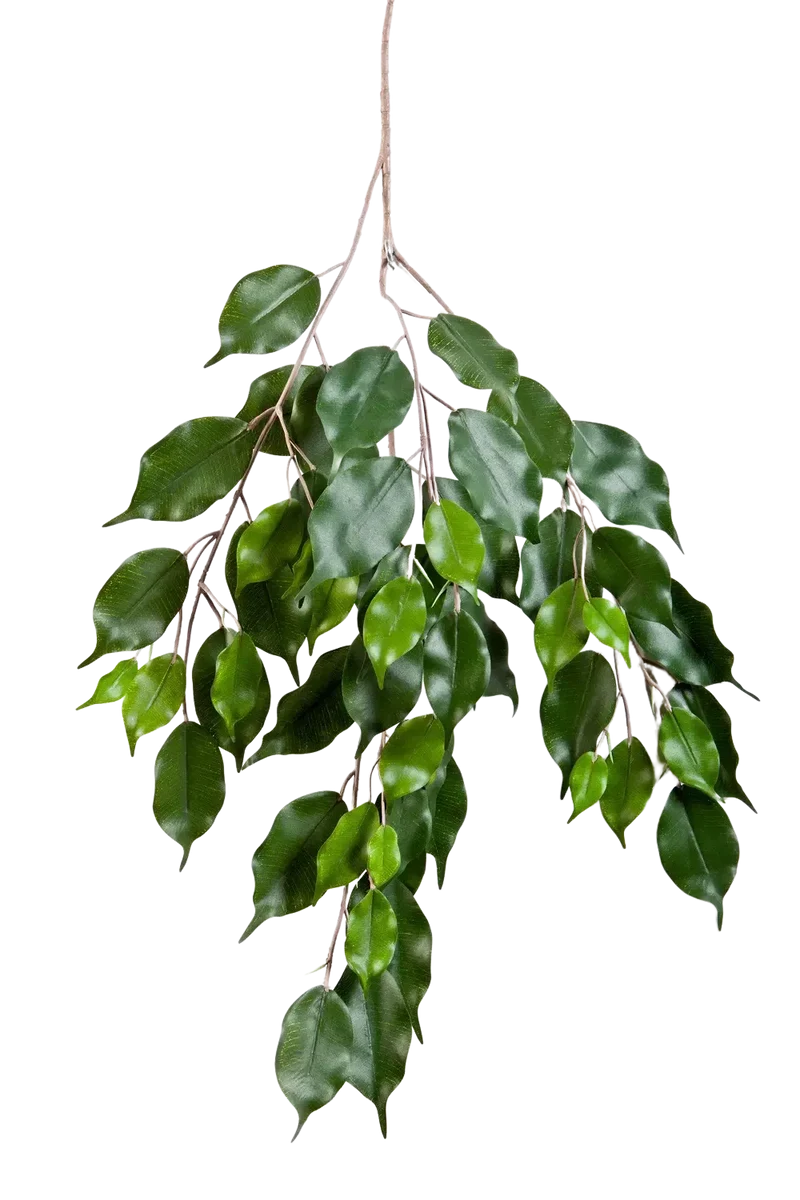 Künstlicher Ficus-Zweig - Georgia
