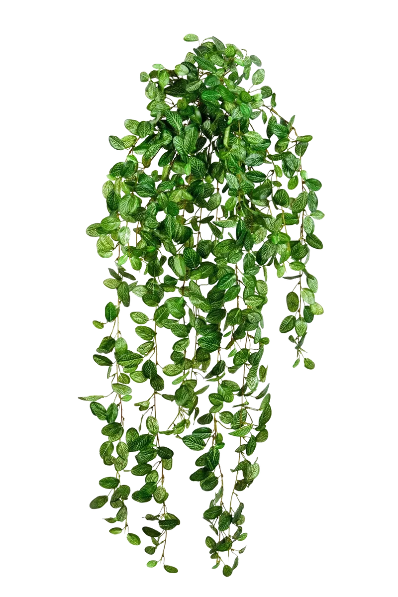 Künstliche Hänge-Fittonia - Freya | 85 cm