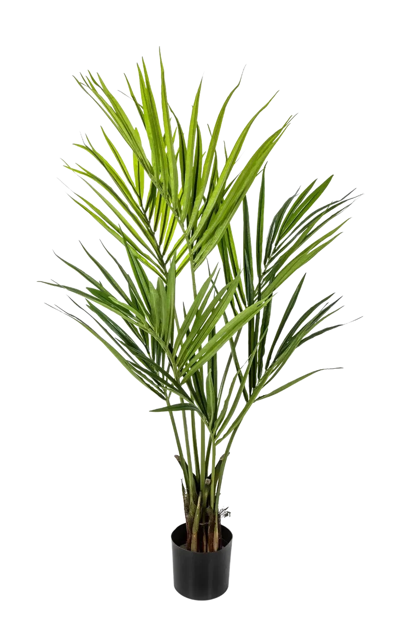 Künstliche Kentia Palme - Cataleya | 140 cm