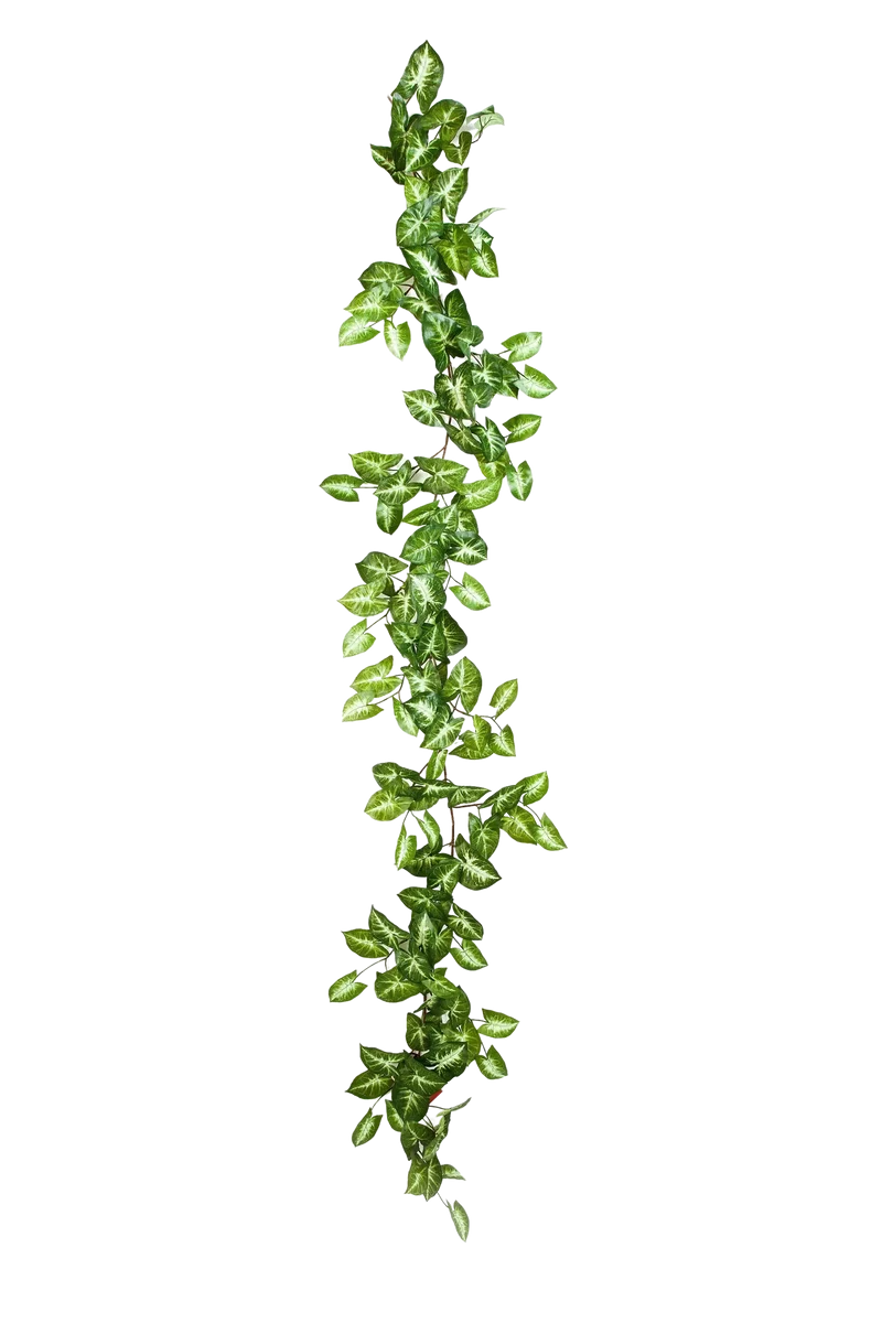 Künstliche Nephthytis Girlande - Annabell | 180 cm
