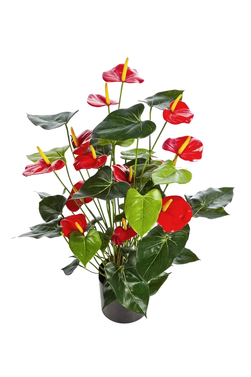 Künstliche Flamingoblume - Caspar | 78 cm