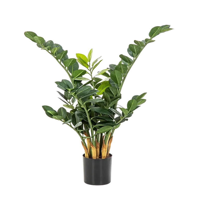 Künstliche Zamioculcas - Svea | 66 cm