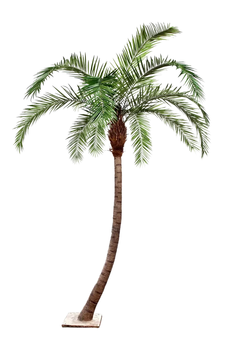 Künstliche Phoenixpalme - Simon | 390 cm