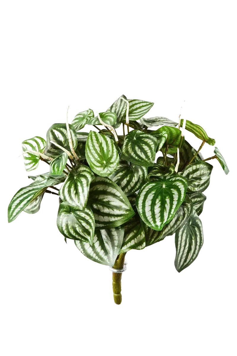 Künstliche Peperomia - Melon