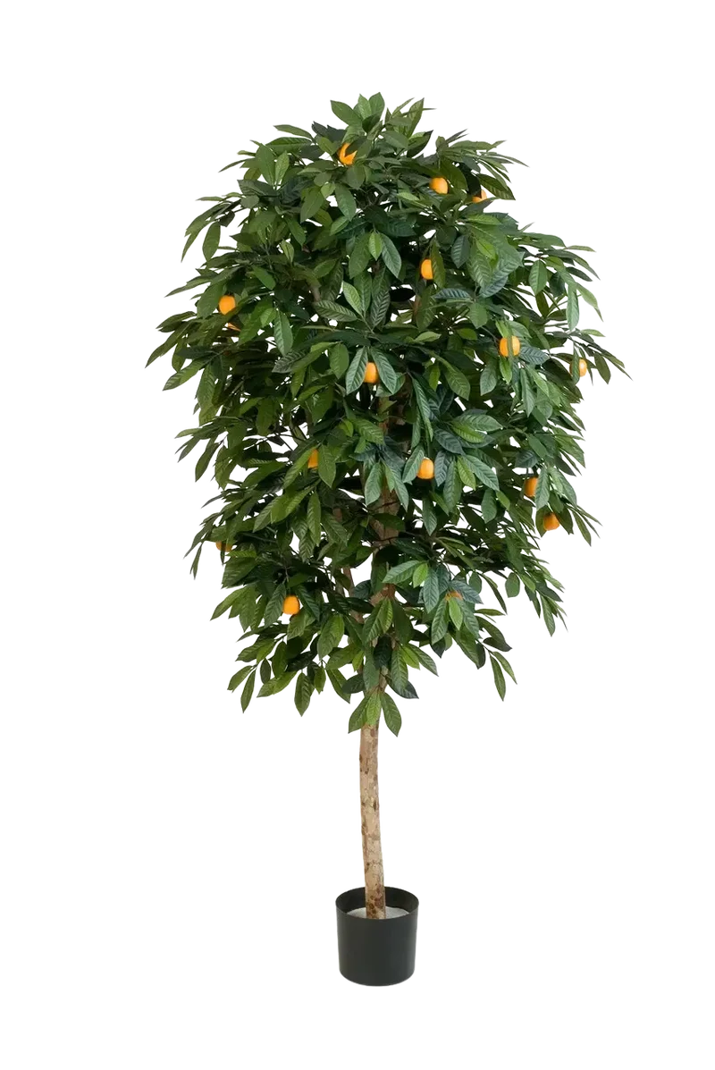 Künstlicher Orangenbaum - Pius | 170 cm