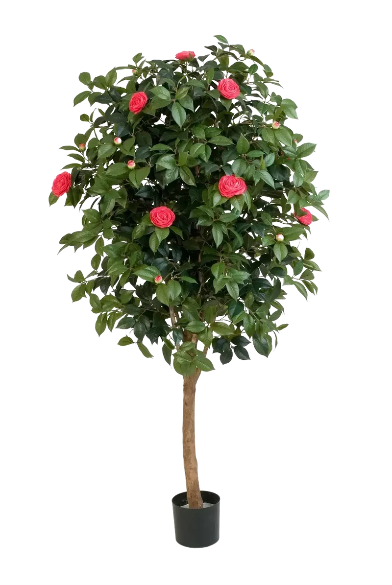 Künstlicher Kamelienbaum - Philina | 170 cm