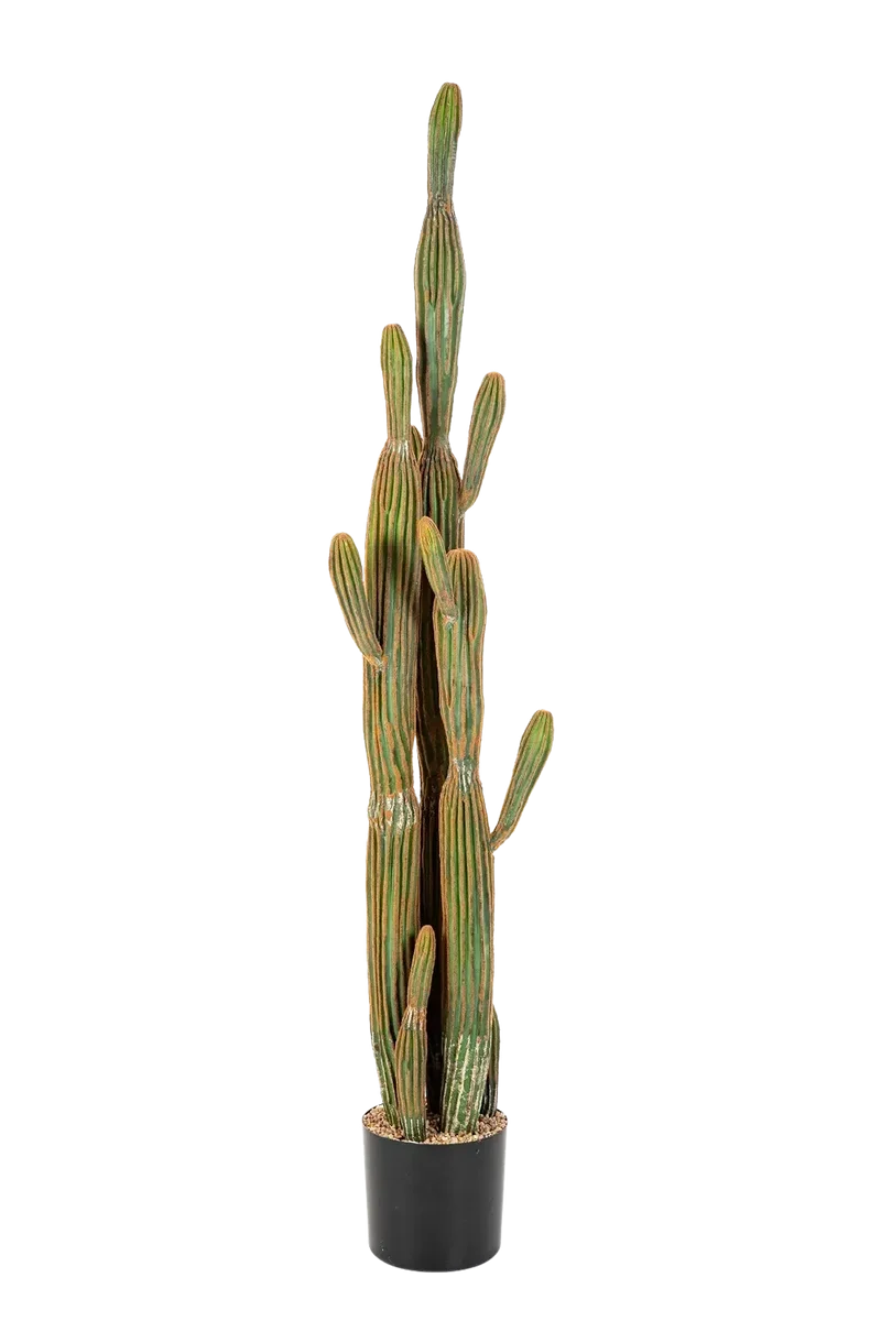 Künstlicher Kaktus - Heinz | 150 cm, Real Touch