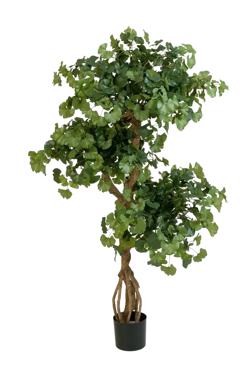 Künstlicher Gingko - Titus | 145 cm feuerhemmend