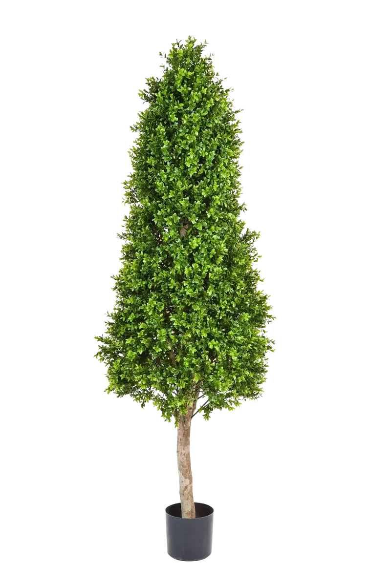 Künstlicher Buchsbaum - Rene | 170 cm