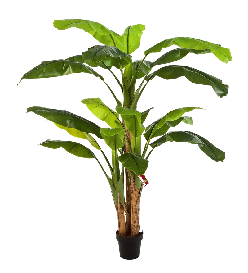 Künstlicher Bananenbaum - Pauline | 180 cm