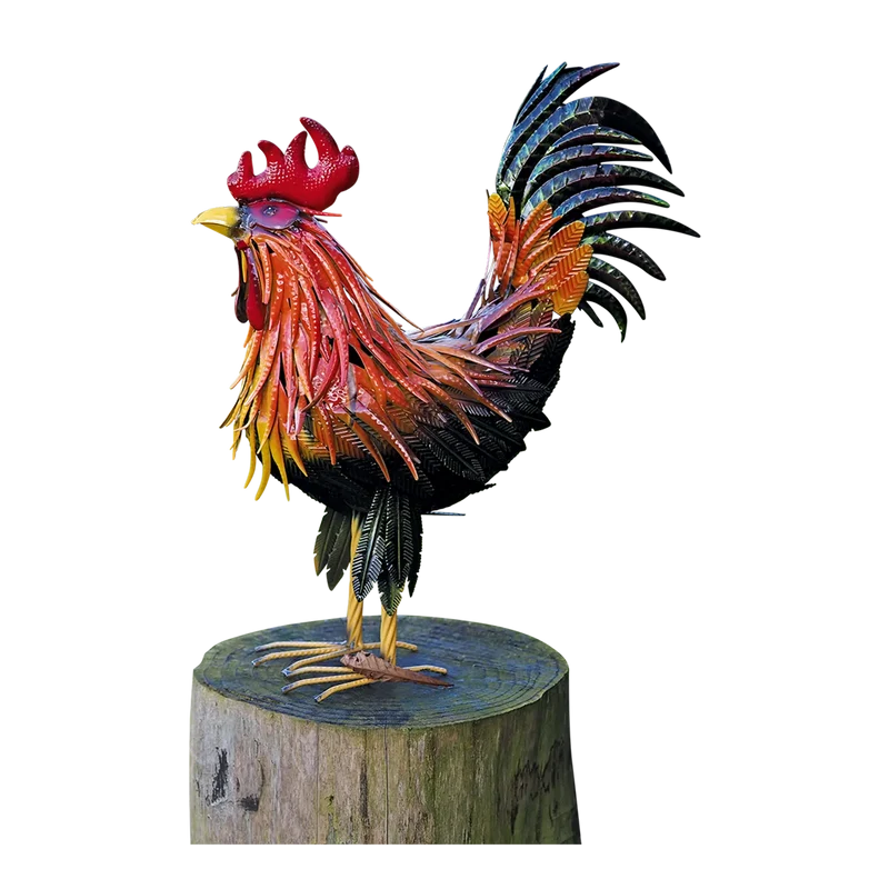 Hahn "Fridolin"