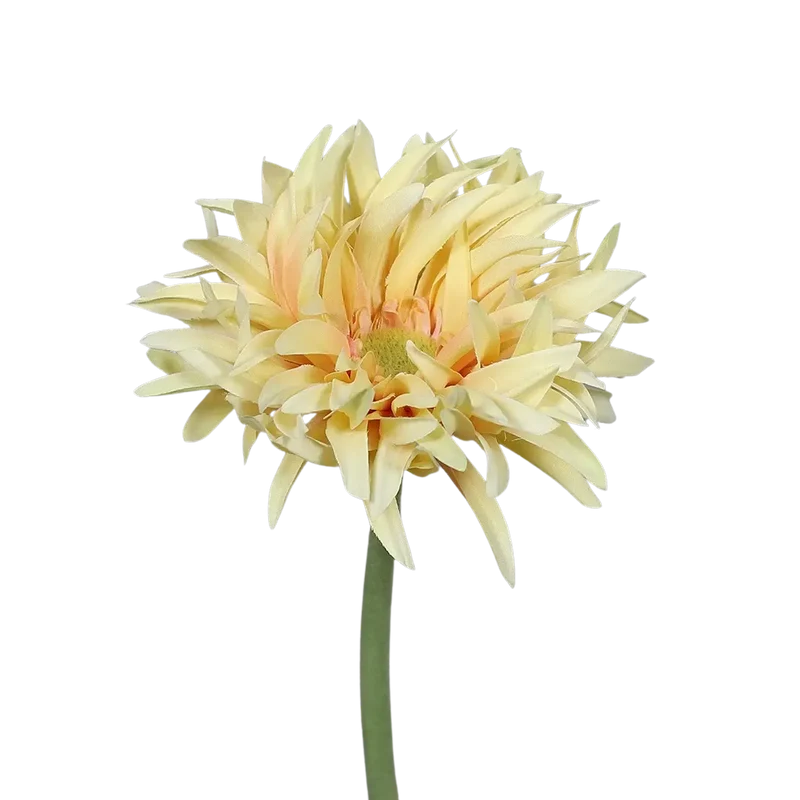 Künstliche Gerbera gefranzt - Adam | 57 cm