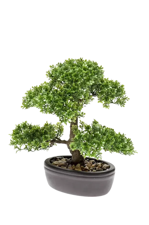 Künstlicher Ficus Bonsai - Yui | 32 cm