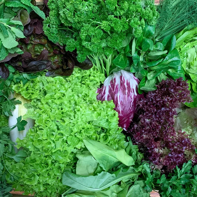 Kräuter & Salat Mix