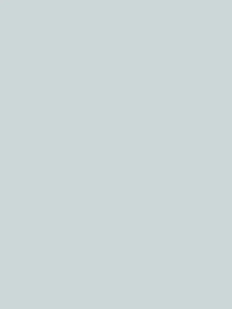 Wandfarbe - Farrow & Ball - Parma Gray No. 27