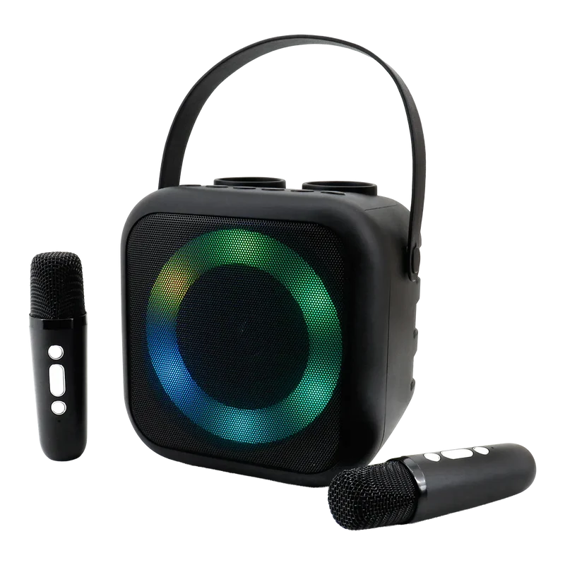 Tragbares Bluetooth Karaoke System