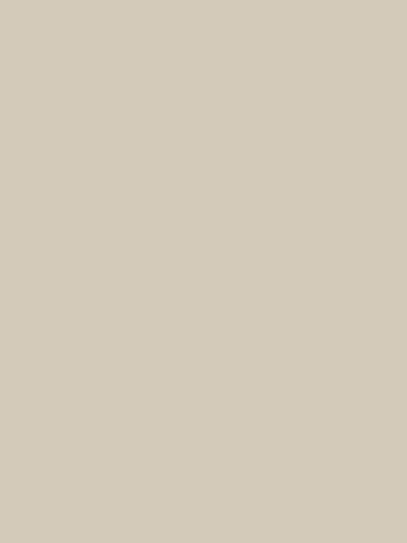 Wandfarbe - Farrow & Ball - Elephant's Breath No. 229