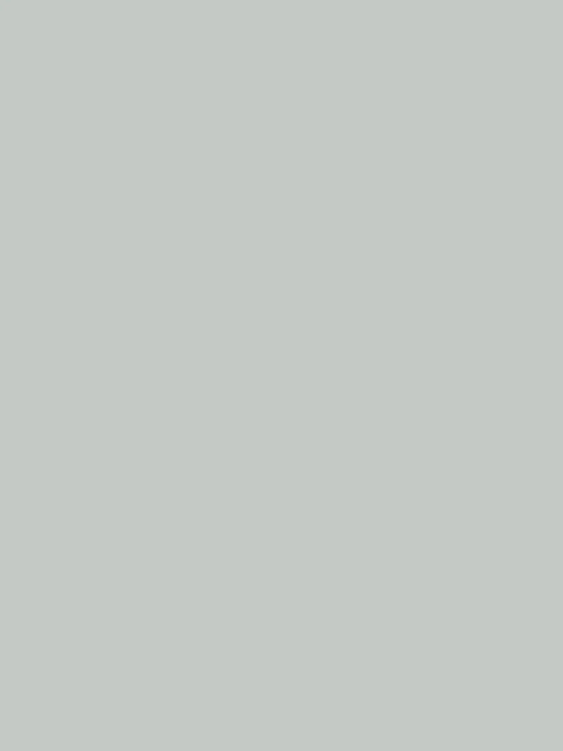 Wandfarbe - Farrow & Ball - Skylight No. 205