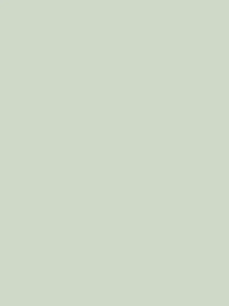 Wandfarbe - Farrow & Ball - Pale Powder No. 204