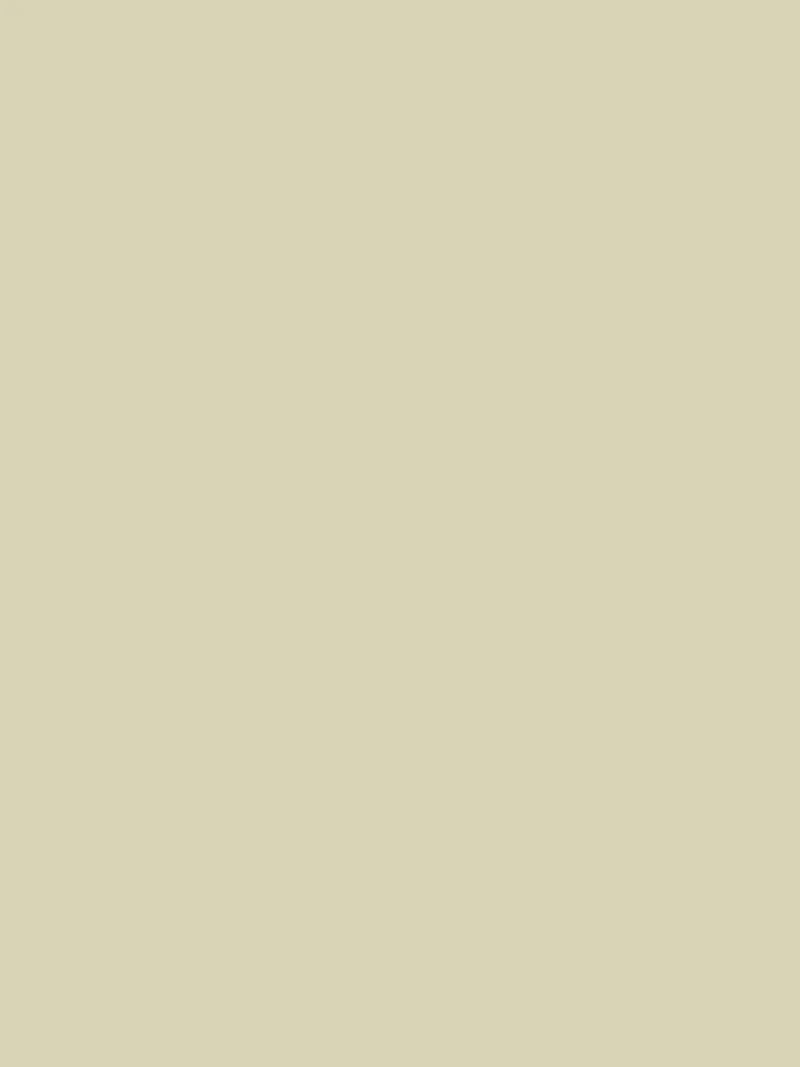 Wandfarbe - Farrow & Ball - Bone No. 15