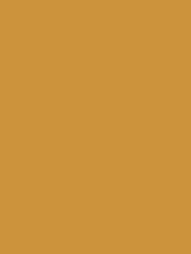 Wandfarbe - Farrow & Ball - India Yellow No. 66