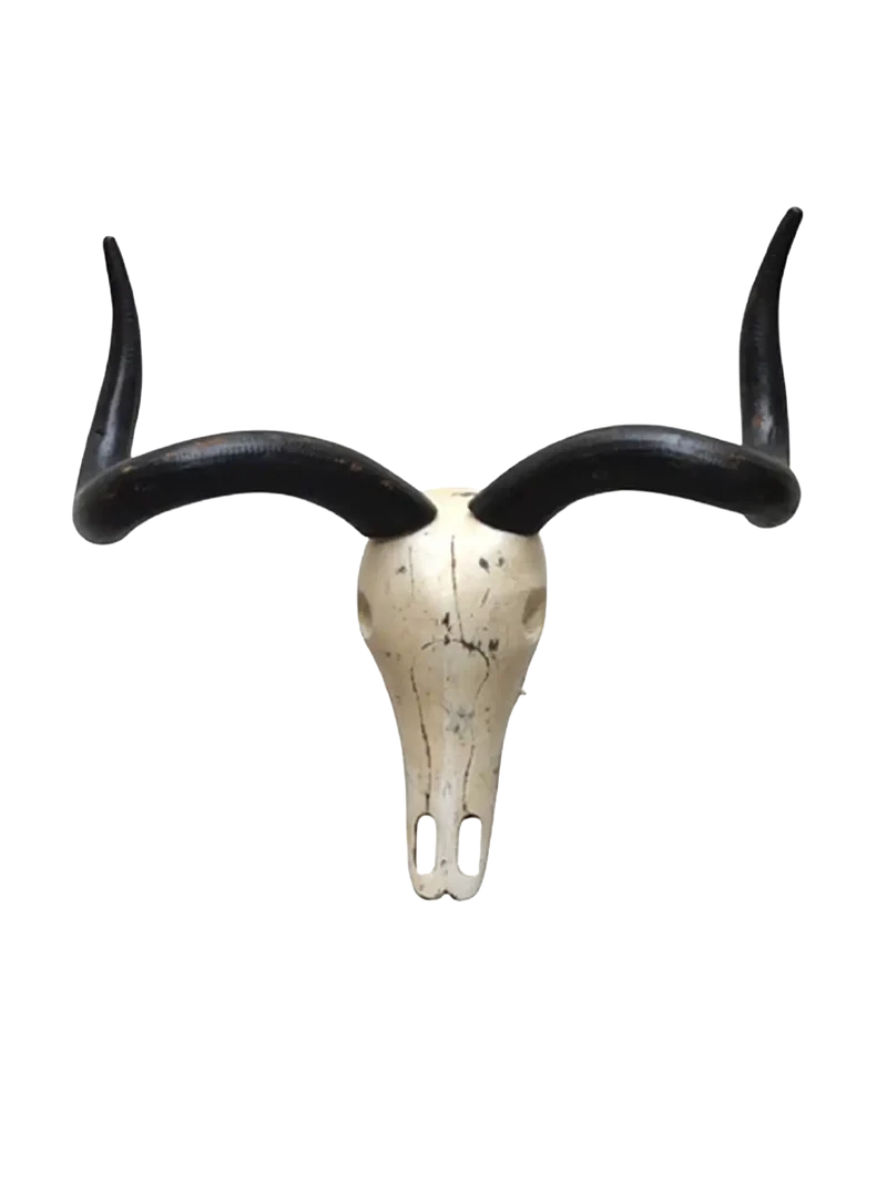 Deko-Geweih | "Antilope Scrat"