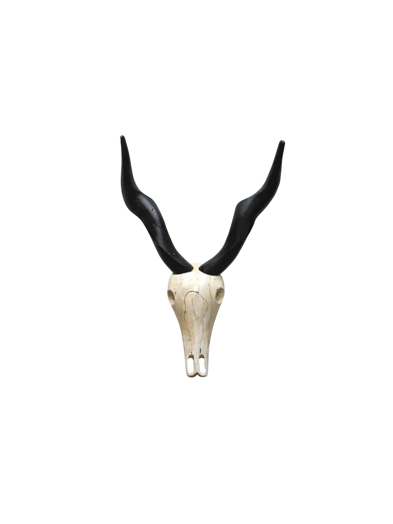 Deko-Geweih | "Antilope Sid"