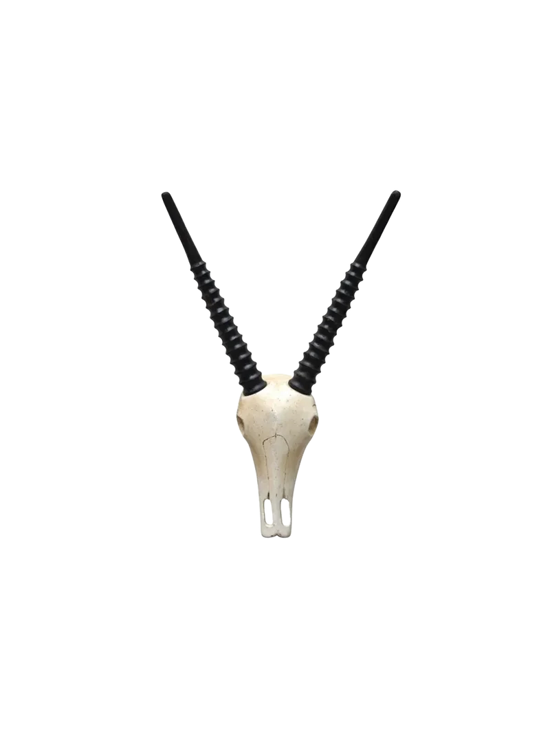 Deko-Geweih | "Antilope Diego"